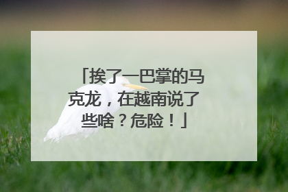 挨了一巴掌的马克龙，在越南说了些啥？危险！