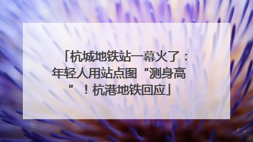 杭城地铁站一幕火了：年轻人用站点图“测身高”！杭港地铁回应