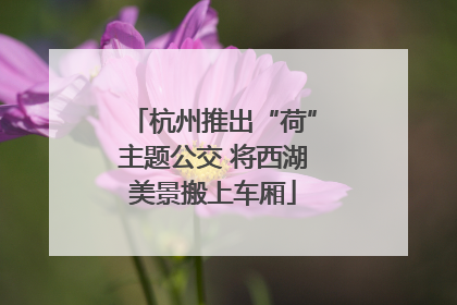 杭州推出“荷”主题公交 将西湖美景搬上车厢