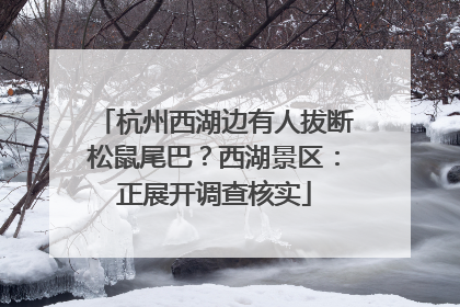 杭州西湖边有人拔断松鼠尾巴？西湖景区：正展开调查核实