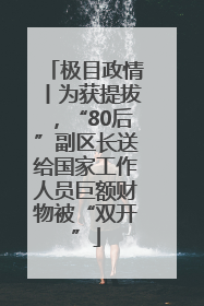 极目政情丨为获提拔，“80后”副区长送给国家工作人员巨额财物被“双开”