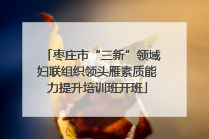 枣庄市“三新”领域妇联组织领头雁素质能力提升培训班开班