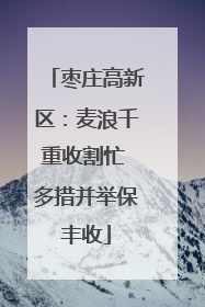 枣庄高新区：麦浪千重收割忙 多措并举保丰收