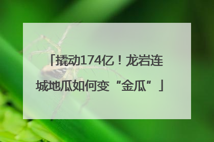 撬动174亿！龙岩连城地瓜如何变“金瓜”