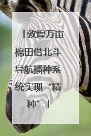 敦煌万亩棉田借北斗导航播种系统实现“精种”