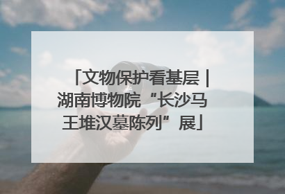 文物保护看基层｜湖南博物院“长沙马王堆汉墓陈列”展