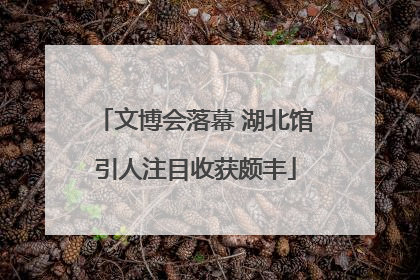 文博会落幕 湖北馆引人注目收获颇丰