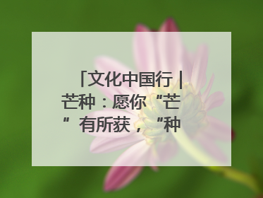 文化中国行｜芒种：愿你“芒”有所获，“种”有所得