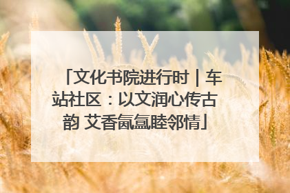 文化书院进行时｜车站社区：以文润心传古韵 艾香氤氲睦邻情