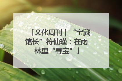 文化周刊｜“宝藏馆长”符仙瑾：在雨林里“寻宝”