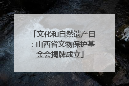 文化和自然遗产日：山西省文物保护基金会揭牌成立