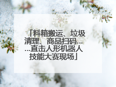 料箱搬运、垃圾清理、商品扫码……直击人形机器人技能大赛现场