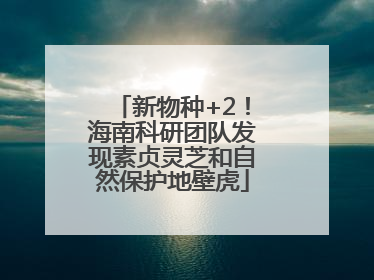 新物种+2！海南科研团队发现素贞灵芝和自然保护地壁虎