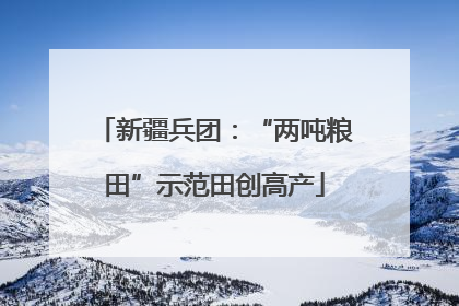 新疆兵团：“两吨粮田”示范田创高产