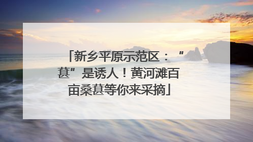 新乡平原示范区：“葚”是诱人！黄河滩百亩桑葚等你来采摘