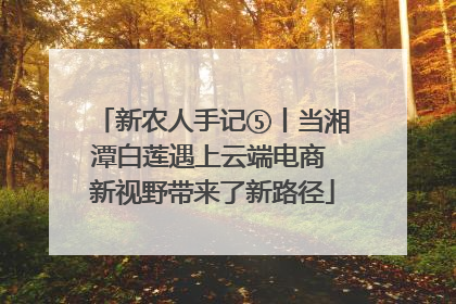 新农人手记⑤丨当湘潭白莲遇上云端电商 新视野带来了新路径