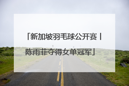 新加坡羽毛球公开赛丨陈雨菲夺得女单冠军