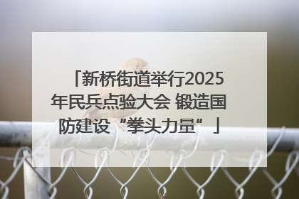 新桥街道举行2025年民兵点验大会 锻造国防建设“拳头力量”
