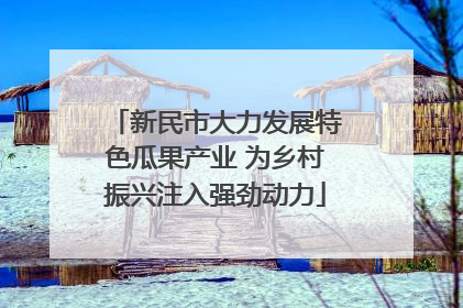 新民市大力发展特色瓜果产业 为乡村振兴注入强劲动力