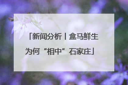 新闻分析丨盒马鲜生为何“相中”石家庄
