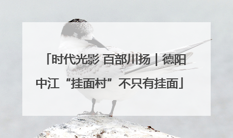 时代光影 百部川扬｜德阳中江“挂面村”不只有挂面