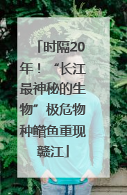 时隔20年！“长江最神秘的生物”极危物种鳤鱼重现赣江