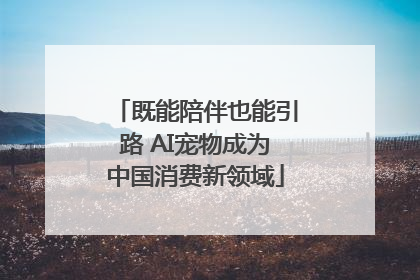 既能陪伴也能引路 AI宠物成为中国消费新领域