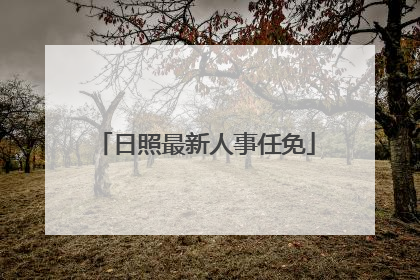 日照最新人事任免