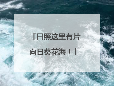 日照这里有片向日葵花海！