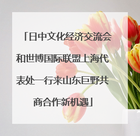 日中文化经济交流会和世博国际联盟上海代表处一行来山东巨野共商合作新机遇