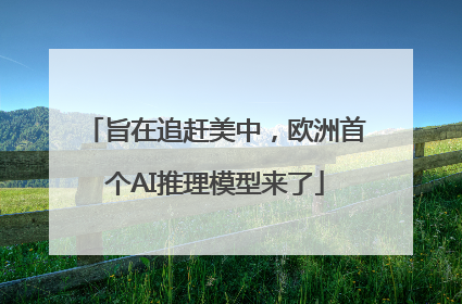 旨在追赶美中，欧洲首个AI推理模型来了