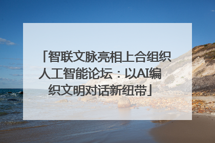 智联文脉亮相上合组织人工智能论坛：以AI编织文明对话新纽带