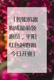 智能机器狗成最萌领跑员，平阳红色越野跑今日开赛