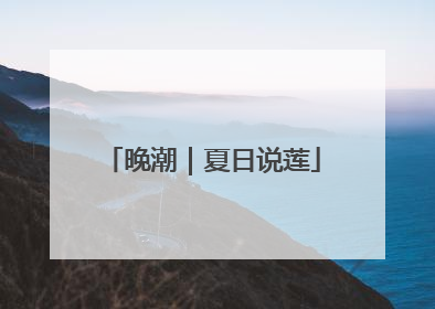 晚潮｜夏日说莲
