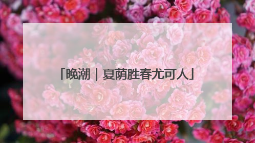 晚潮｜夏荫胜春尤可人