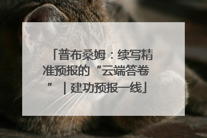 普布桑姆：续写精准预报的“云端答卷”｜建功预报一线