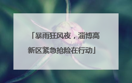 暴雨狂风夜，淄博高新区紧急抢险在行动