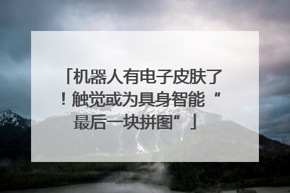 机器人有电子皮肤了！触觉或为具身智能“最后一块拼图”