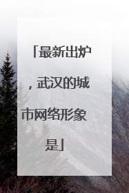 最新出炉，武汉的城市网络形象是