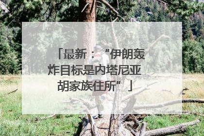 最新：“伊朗轰炸目标是内塔尼亚胡家族住所”