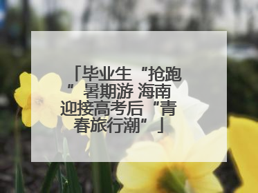 毕业生“抢跑”暑期游 海南迎接高考后“青春旅行潮”