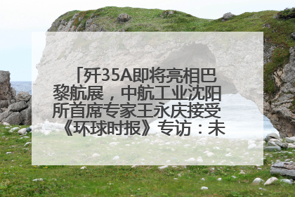 歼35A即将亮相巴黎航展，中航工业沈阳所首席专家王永庆接受《环球时报》专访：未来数量可以有很多