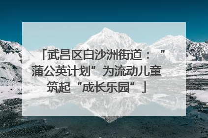 武昌区白沙洲街道：“蒲公英计划”为流动儿童筑起“成长乐园”