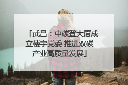 武昌：中碳登大厦成立楼宇党委 推进双碳产业高质量发展