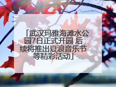武汉玛雅海滩水公园7日正式开园 后续将推出夏浪音乐节等精彩活动
