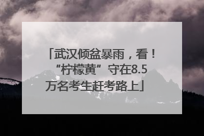 武汉倾盆暴雨，看！“柠檬黄”守在8.5万名考生赶考路上
