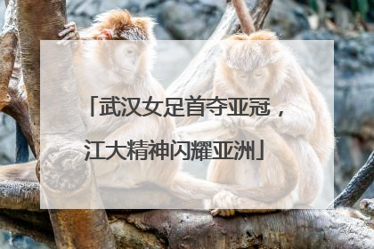 武汉女足首夺亚冠，江大精神闪耀亚洲