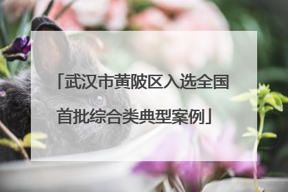 武汉市黄陂区入选全国首批综合类典型案例