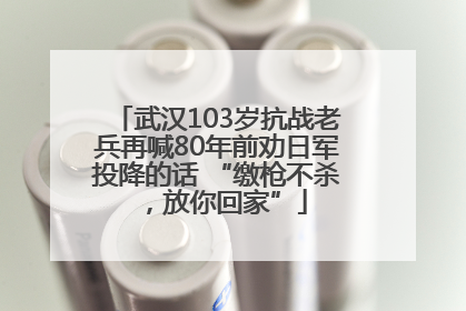 武汉103岁抗战老兵再喊80年前劝日军投降的话 “缴枪不杀，放你回家”