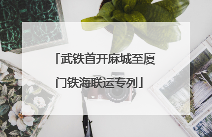 武铁首开麻城至厦门铁海联运专列
